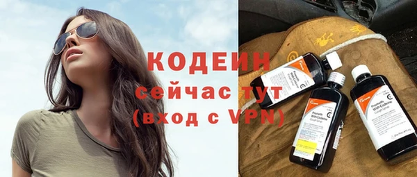 спиды Каменногорск